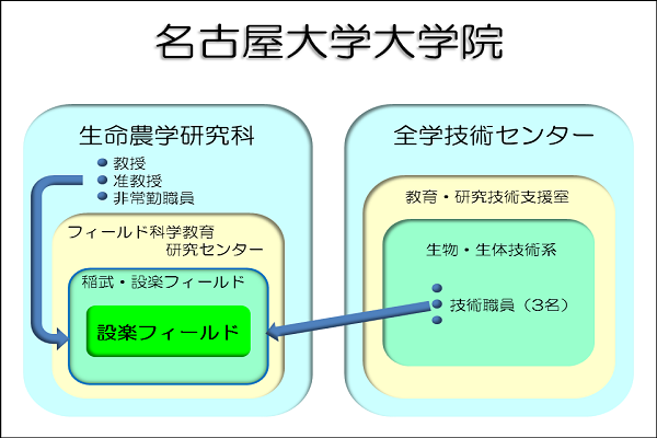 組織図