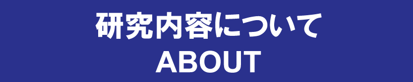研究内容