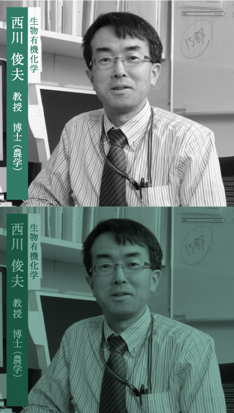 西川　俊夫 教授