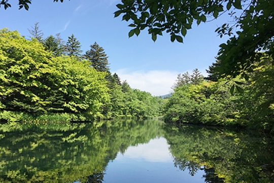 Department of Forest and Environmental Resources Sciences