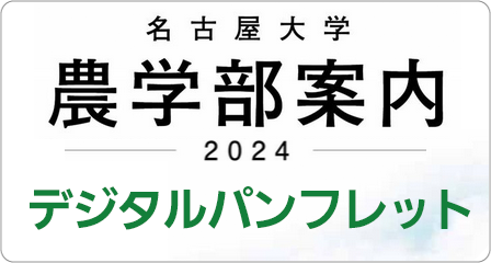 デジタルパンフレット2024