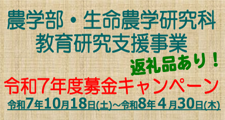 募金キャンペーン