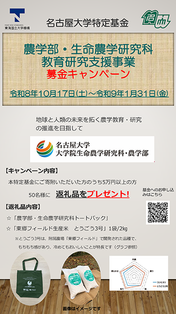 募金キャンペーン