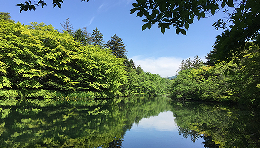 森林・環境資源科学専攻