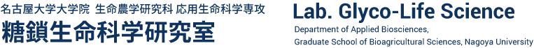 Lab. Glyco-Life Science, Department of Applied Biosciences, Graduate School of Bioagricultural Sciences, Nagoya University