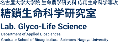 Lab. Glyco-Life Science, Department of Applied Biosciences, Graduate School of Bioagricultural Sciences, Nagoya University
