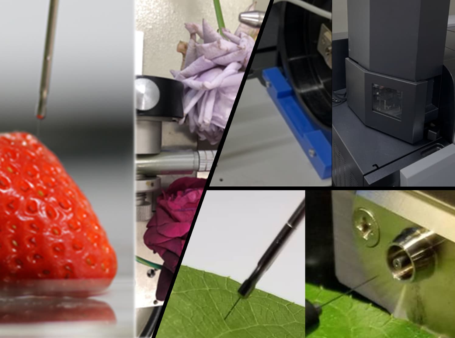 新規質量分析（AI-MS）を活用した迅速・簡便な生体成分の分析