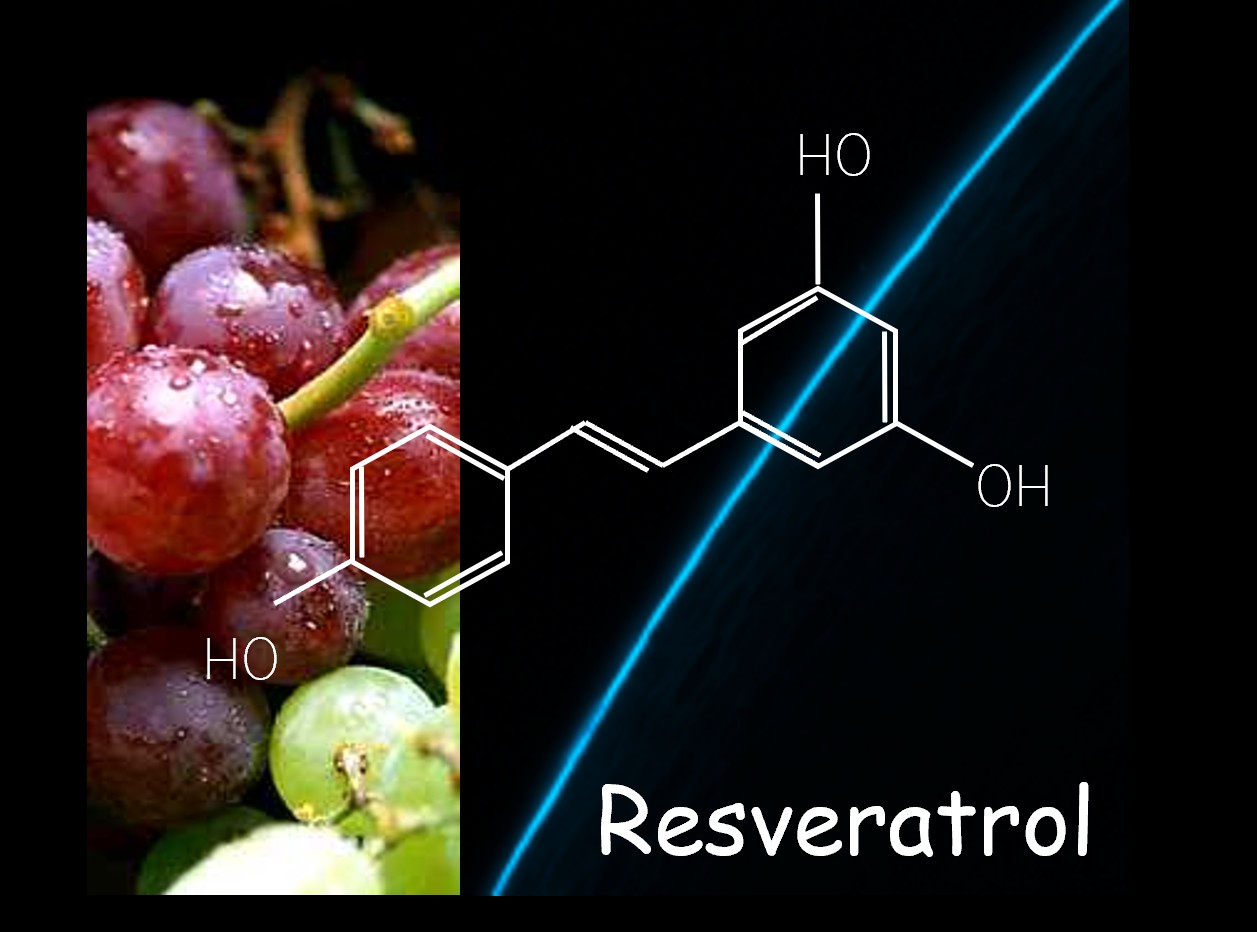 Plant Biotechnology Cover