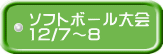 ソフトボール大会 12/7～8