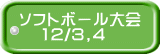 ソフトボール大会    12/3,4 