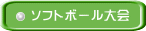 ソフトボール大会