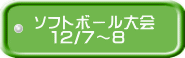 ソフトボール大会 　１２/７～８