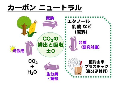 CarbonNeutral.jpg