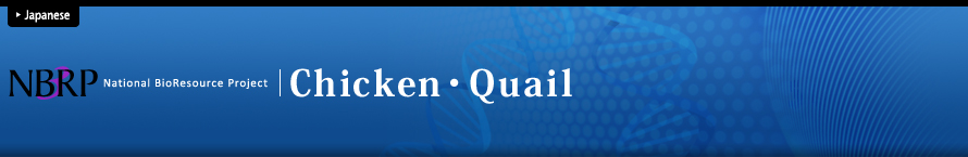 NBRP ナショナルバイオリソース ニワトリ・ウズラ