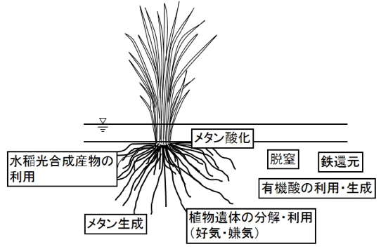 : soil's HD:Murase:}1.jpg