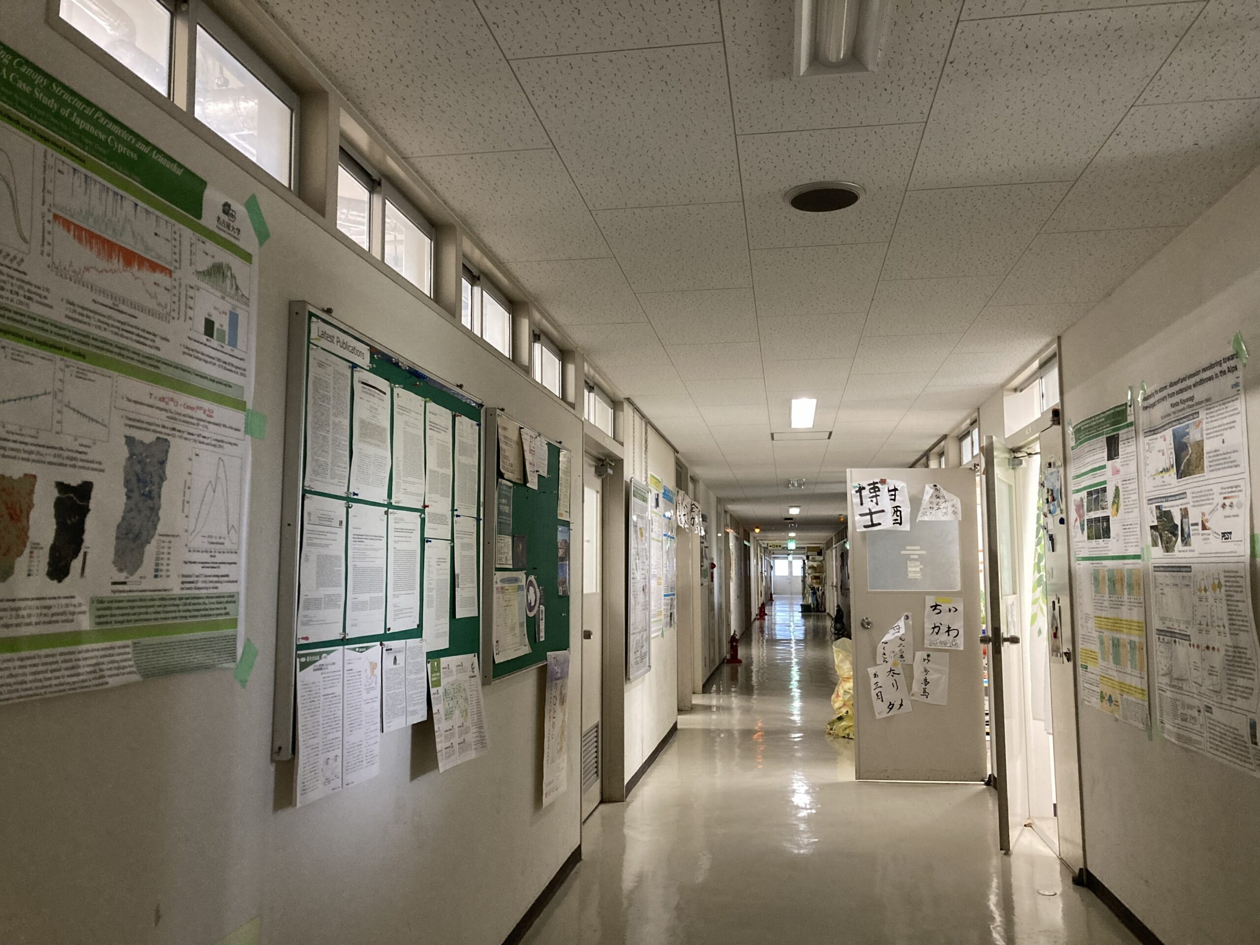 誰もいない廊下