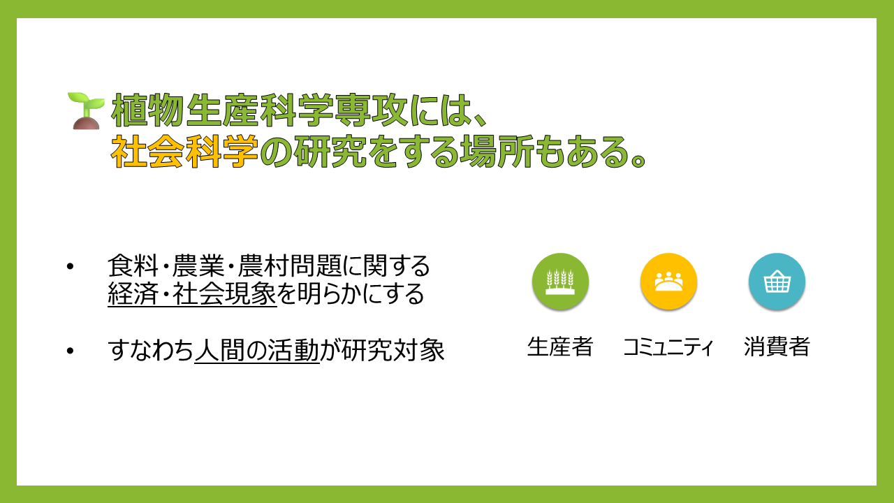 研究概要