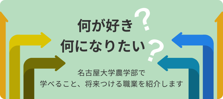 何が好き？