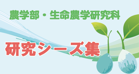 研究シーズ集