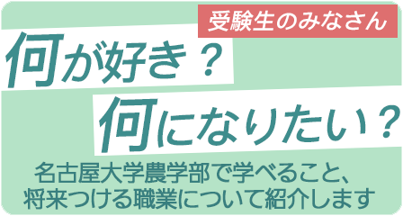 何が好き？ 何になりたい？