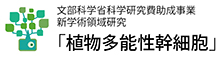 新学術領域研究 植物の生命力を支える多能性幹細胞の基盤原理