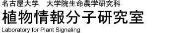 名古屋大学 大学院生命農学研究科 植物情報分子研究室