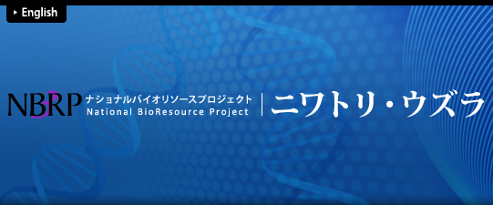 NBRP ナショナルバイオリソース ニワトリ・ウズラ