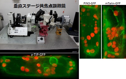 植物環境応答研究分野