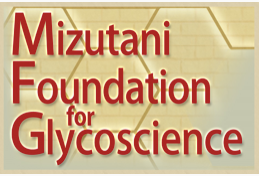 MIZUTANI FOUNDATION